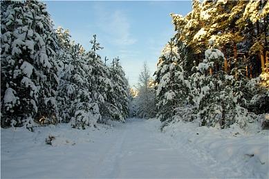 任天堂关闭Wii U和3DS新用户的网络功能