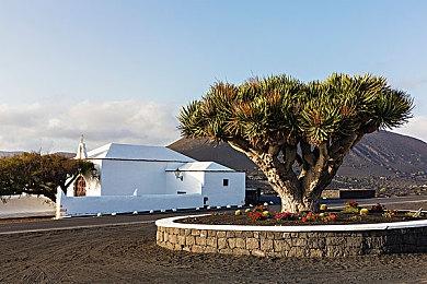 《阿凡达：潘多拉边境》成育碧近年玩家风评最好的一作